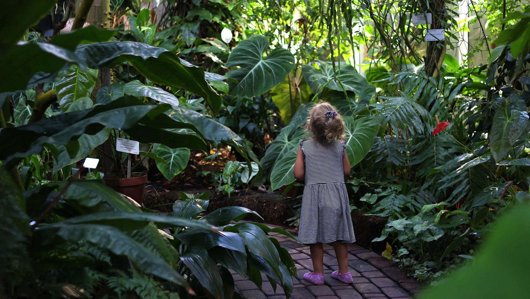 En ung flicka står på en stig, omgiven av träd, vid Åbo universitets botaniska trädgård.