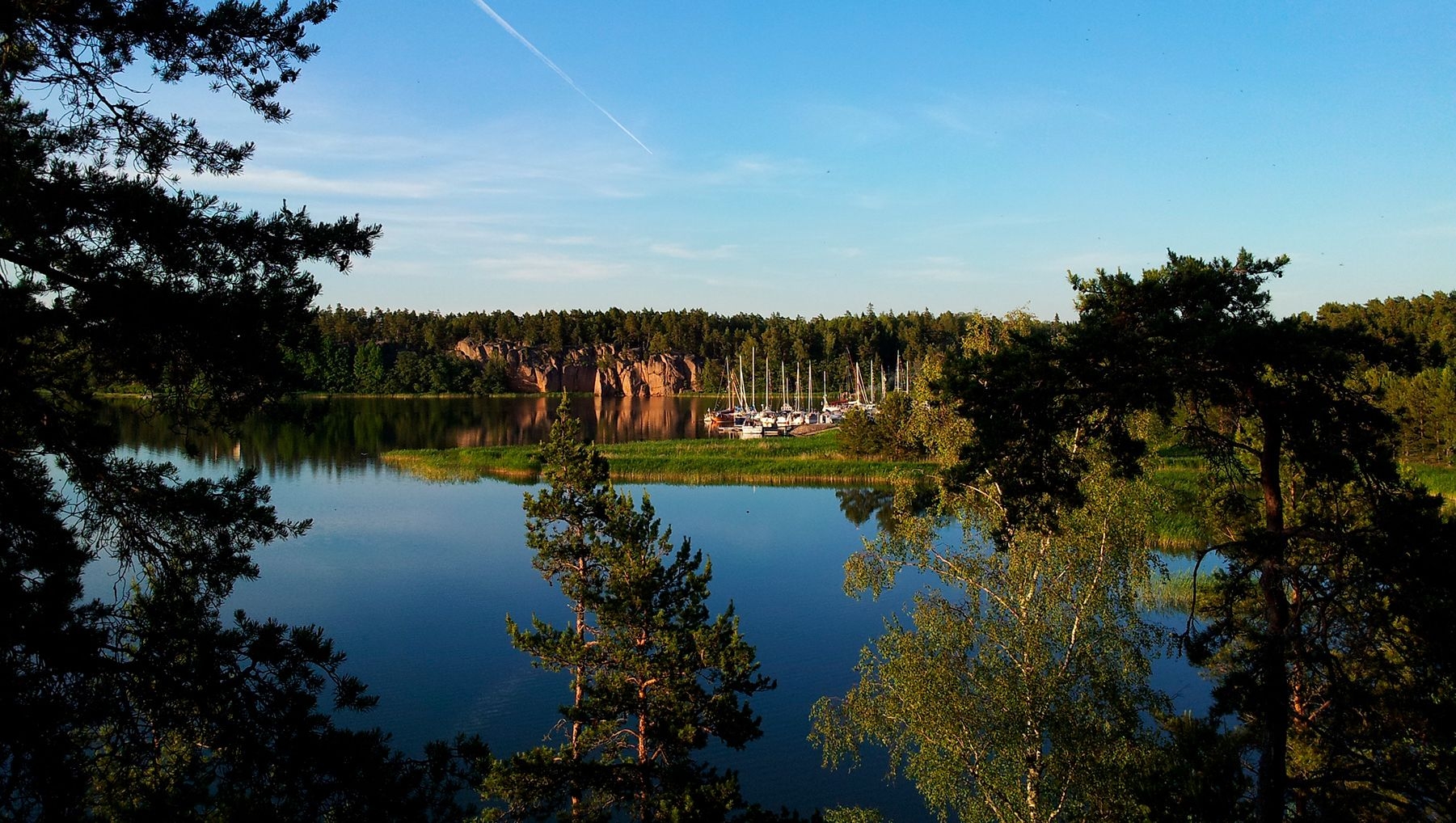 Sailboats docked at Lootholma's guest harbour, surrounded by the forest.