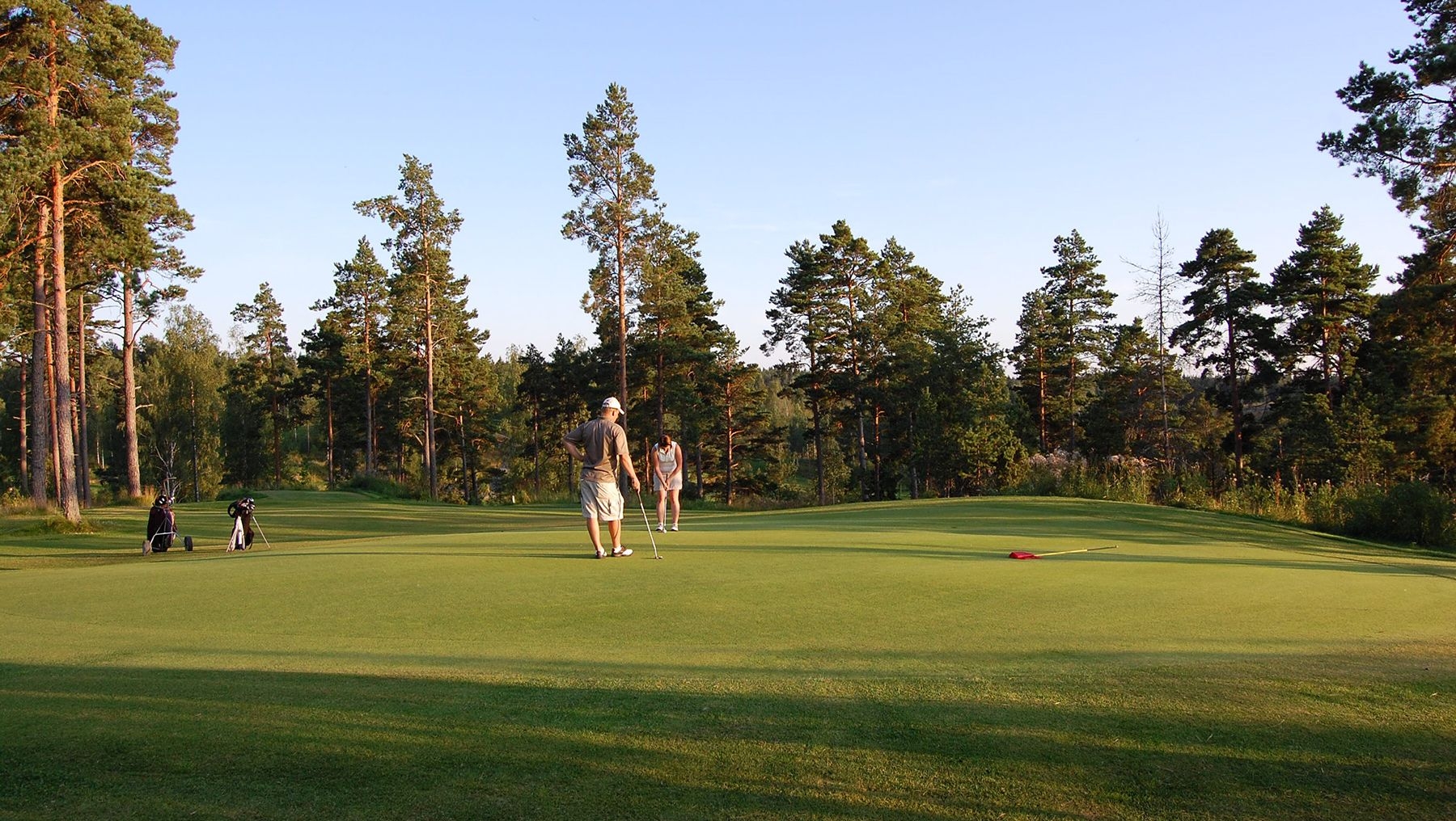 A golfer waits for his partner to take a shot on the golf course, surrounded by trees.