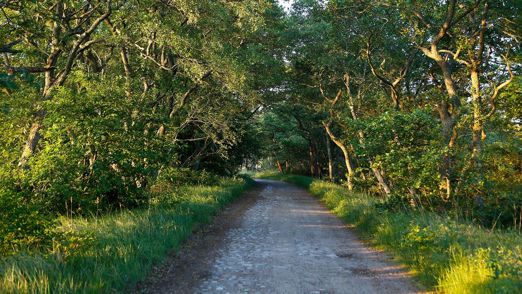 Oeroe Trail