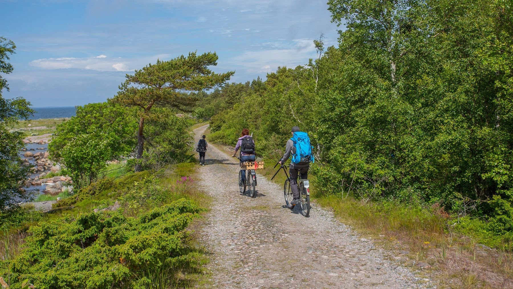 En grupp på tre cyklister slingrar sig fram längs en stig på Örö fästningsö.