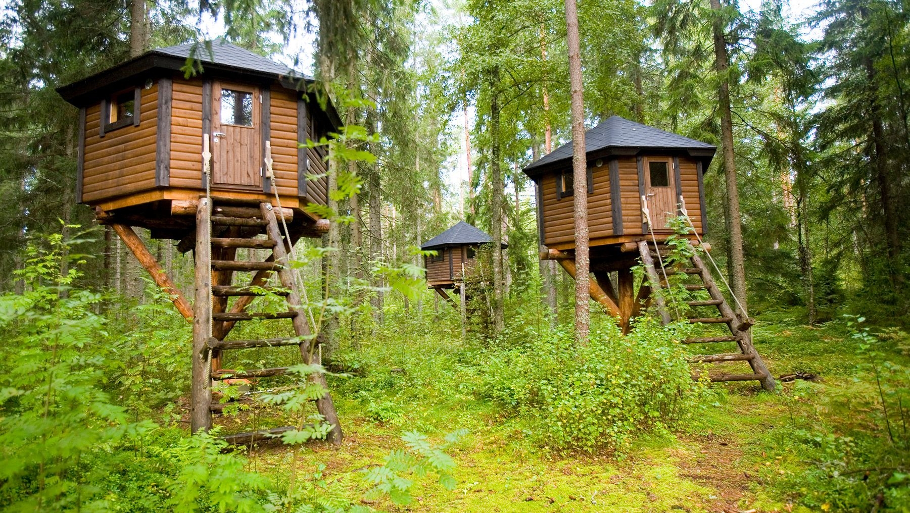 Three hexagonal wooden huts stand in a forest at Storfinnhova Gård.