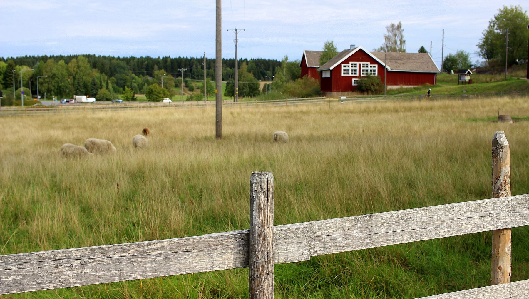 Ett fält framför en röd träbyggnad vid Kurala Bybacke