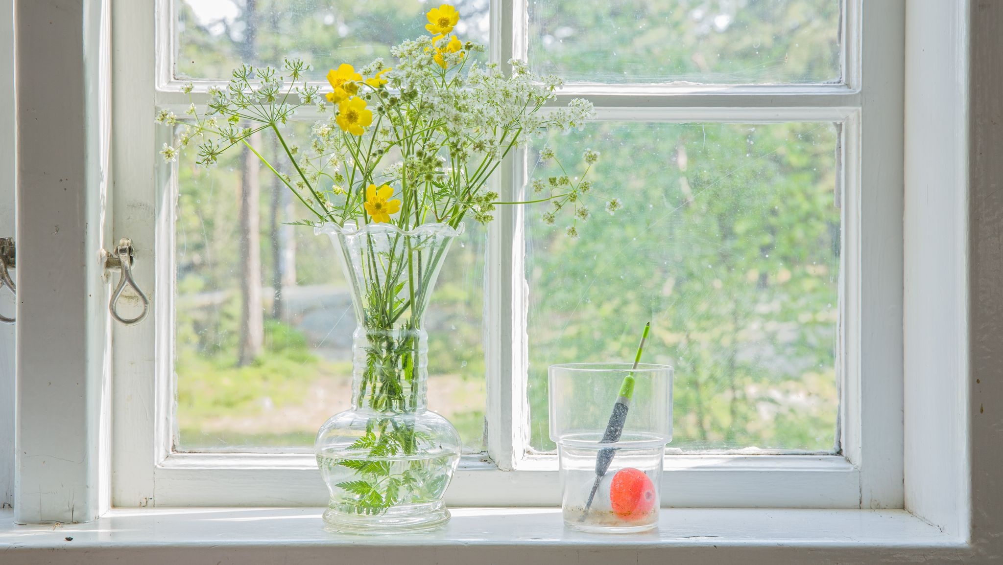 fönster med gula blommor i vas