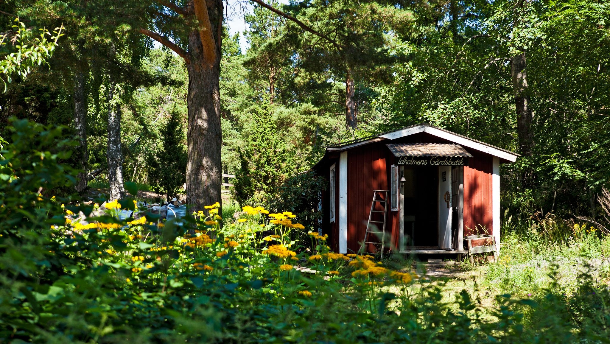 Rött skjul med vita knutar i skogen