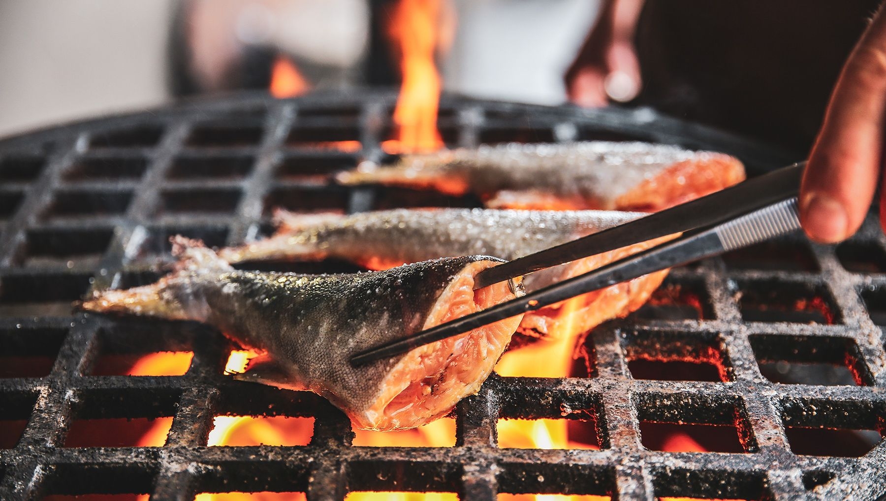 En person grillar tre fiskfiléer över öppen låga vid Kakolanruusu.