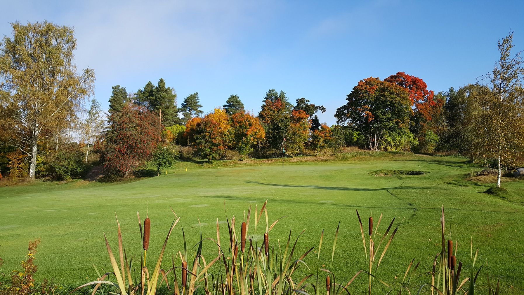 Vehreää golf-kenttää ympäröi ruskan sävyissä olevat lehtipuut Bjärkäs Golfissa.