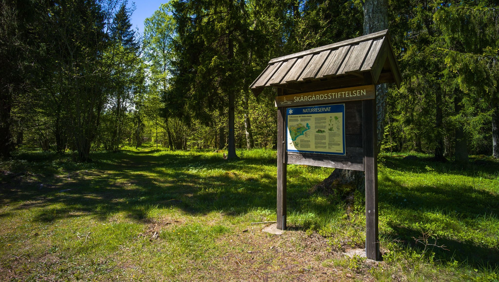 Informationstavla omgiven av träd