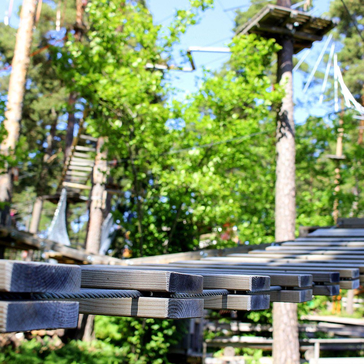 En träbro är upphängd mellan två träd, en del av Flowparks bana.