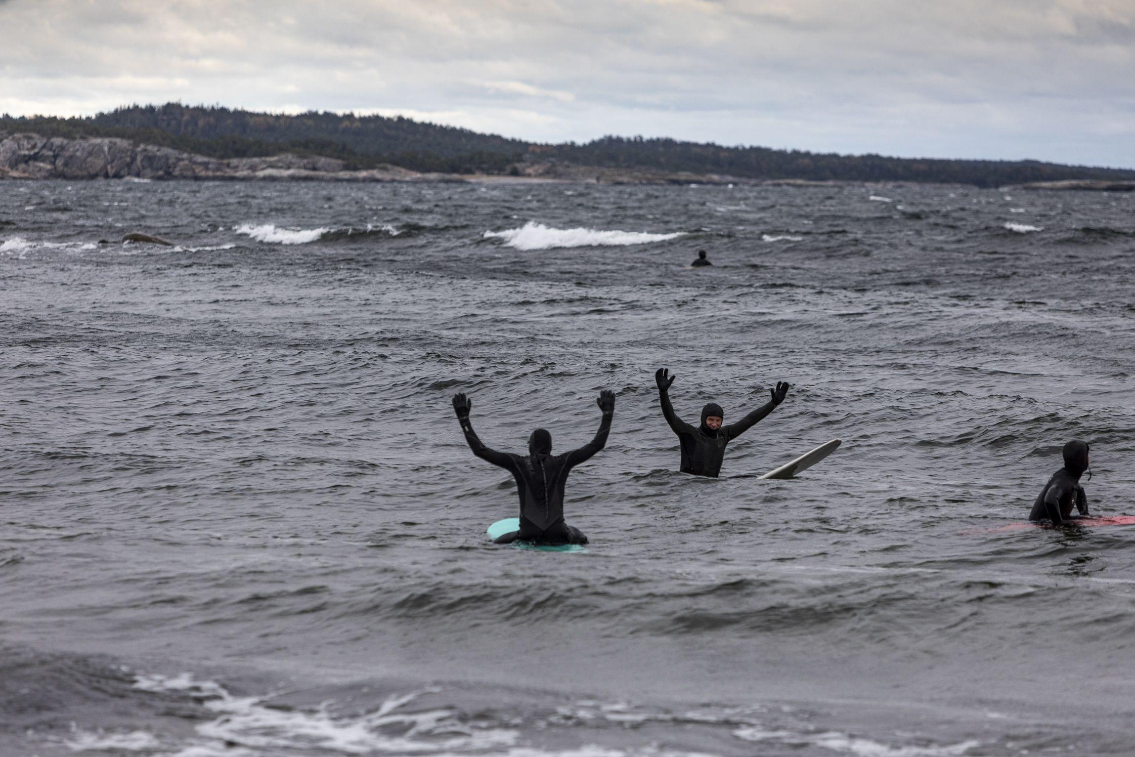Tre surfare ligger i vattnet och väntar på vågen. Foto:  Henrik Trygg
