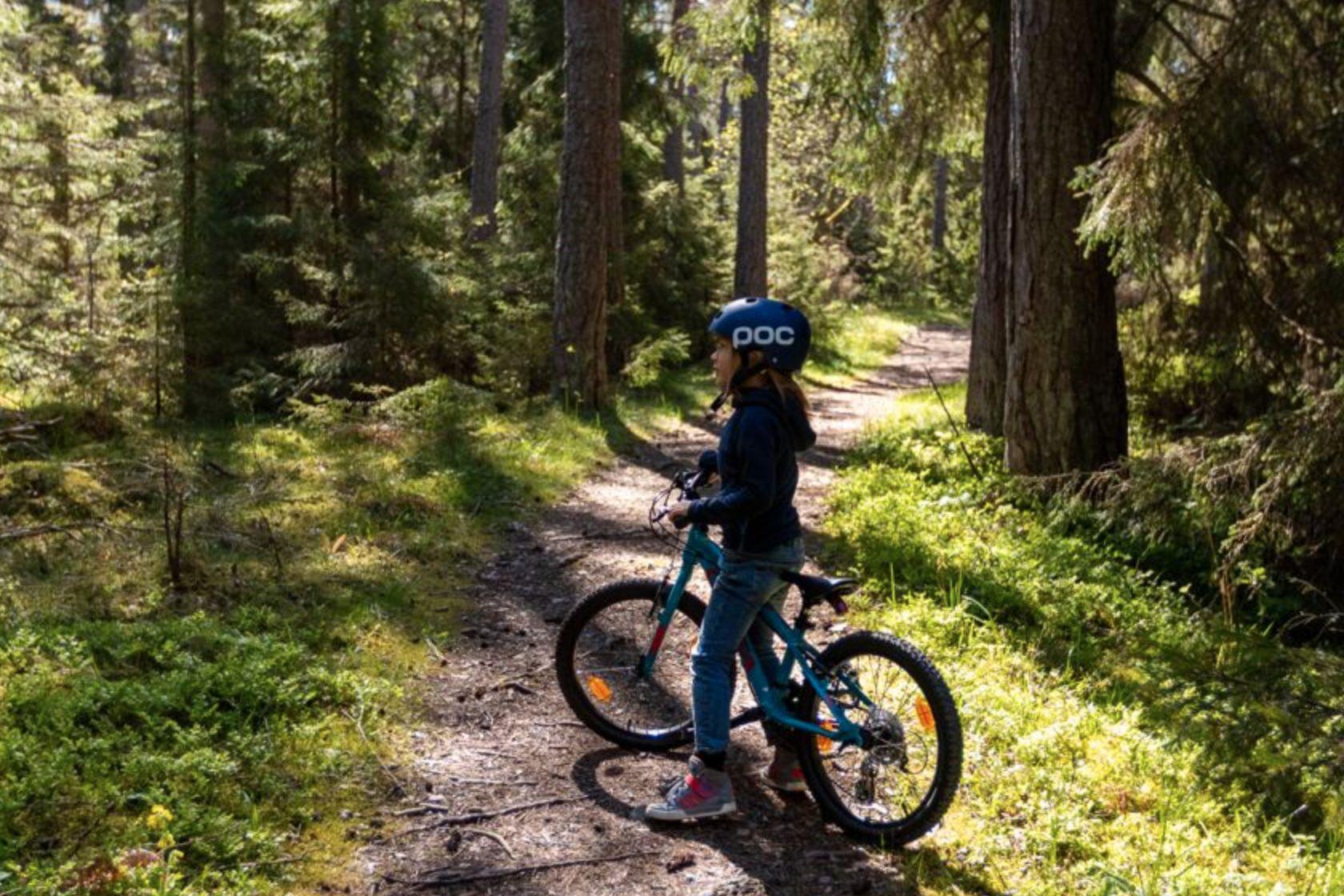 Skog i grönska och cykel.