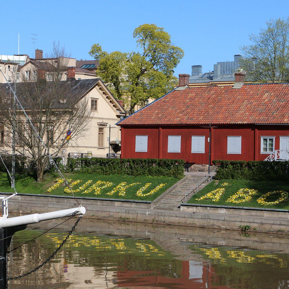 Aurajoen rannalle istutetuista keltaisista kukista muodostuu sanat Turku ja Åbo.