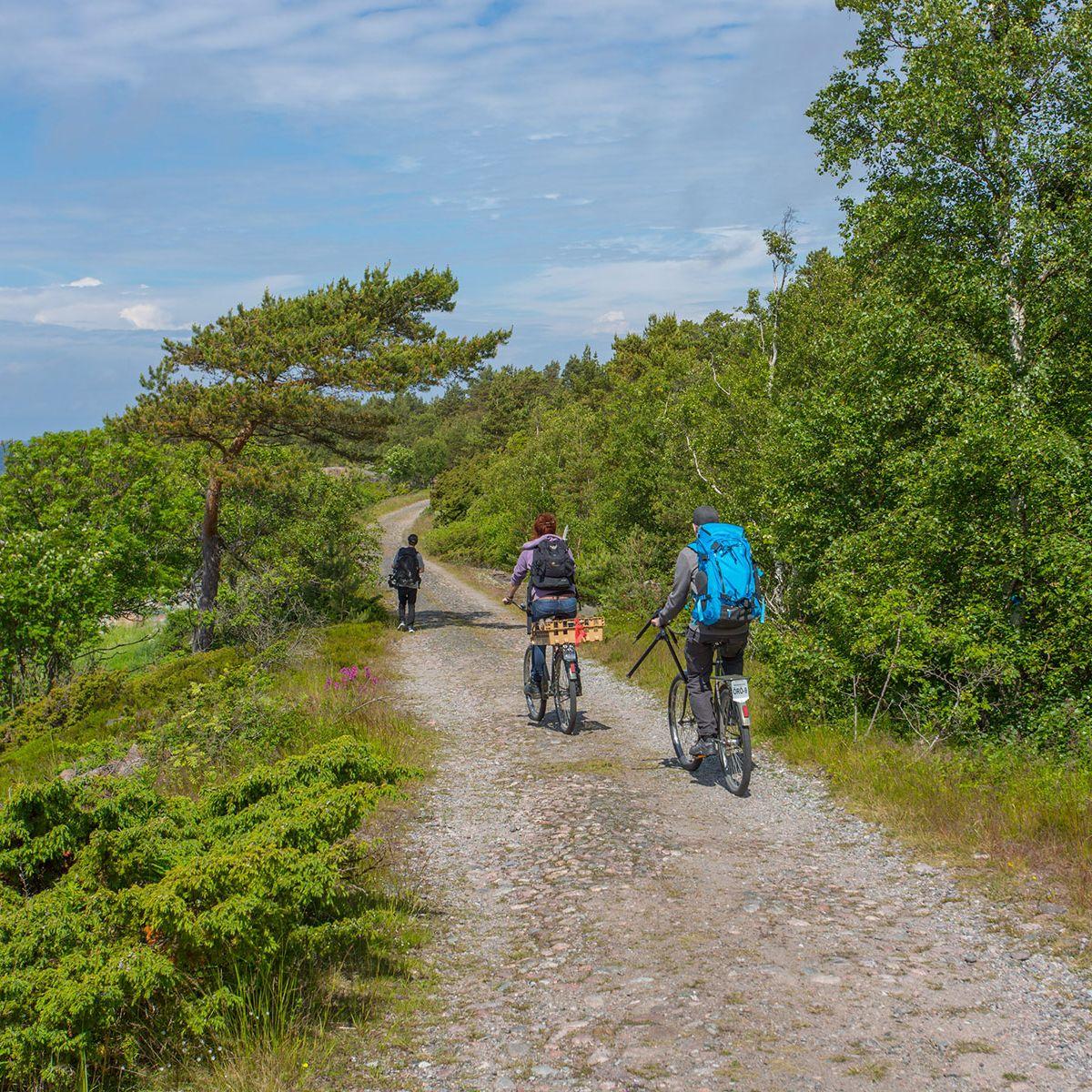 Kolme pyöräilijää polkemassa hiekkatiellä Örön saarella.