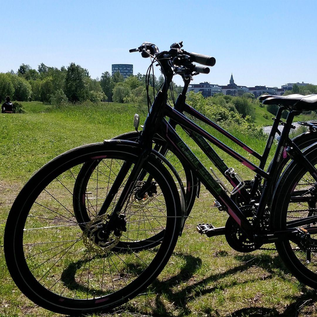 Två cyklar, utlånade från Carfield Bike Rental, står parkerade på toppen av en kulle.