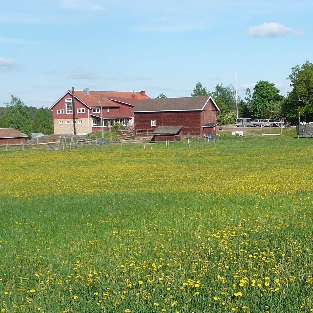 Green fields surround red wooden buildings at Taattisten Tila.